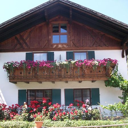 Haus Alpenrose Διαμέρισμα Σβάνγκαου Εξωτερικό φωτογραφία