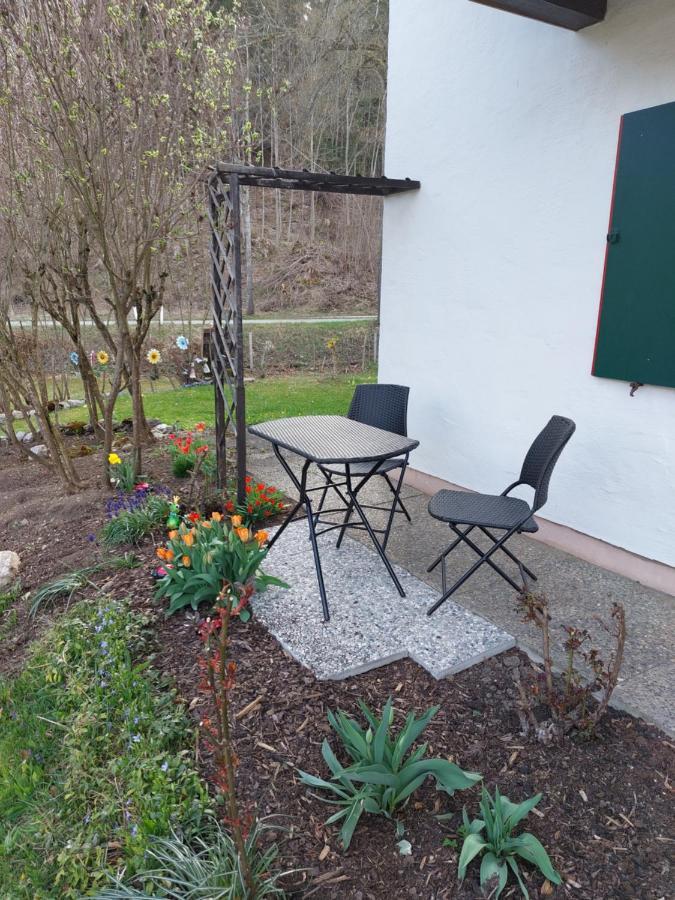 Haus Alpenrose Διαμέρισμα Σβάνγκαου Εξωτερικό φωτογραφία
