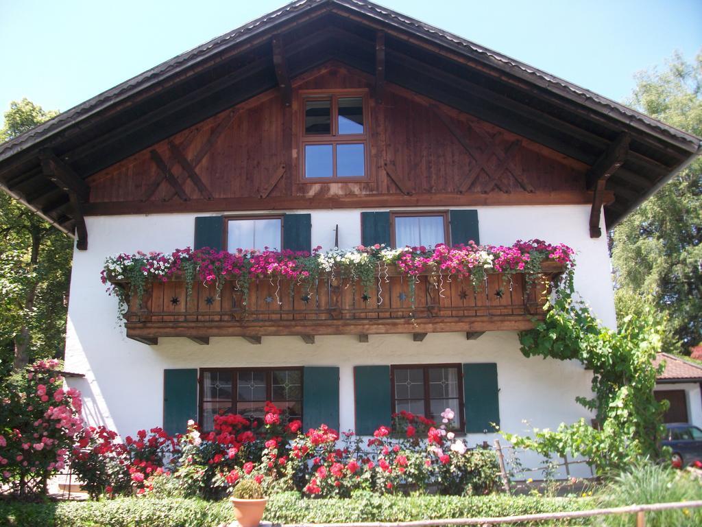 Haus Alpenrose Διαμέρισμα Σβάνγκαου Εξωτερικό φωτογραφία