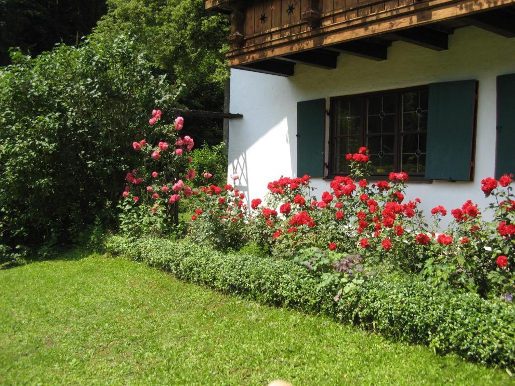 Haus Alpenrose Διαμέρισμα Σβάνγκαου Εξωτερικό φωτογραφία